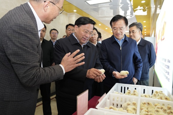 微信截图_20250327090233.png