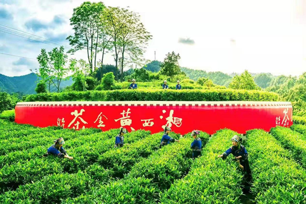 图片2.png