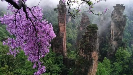 张家界：奇峰异石，人间仙境