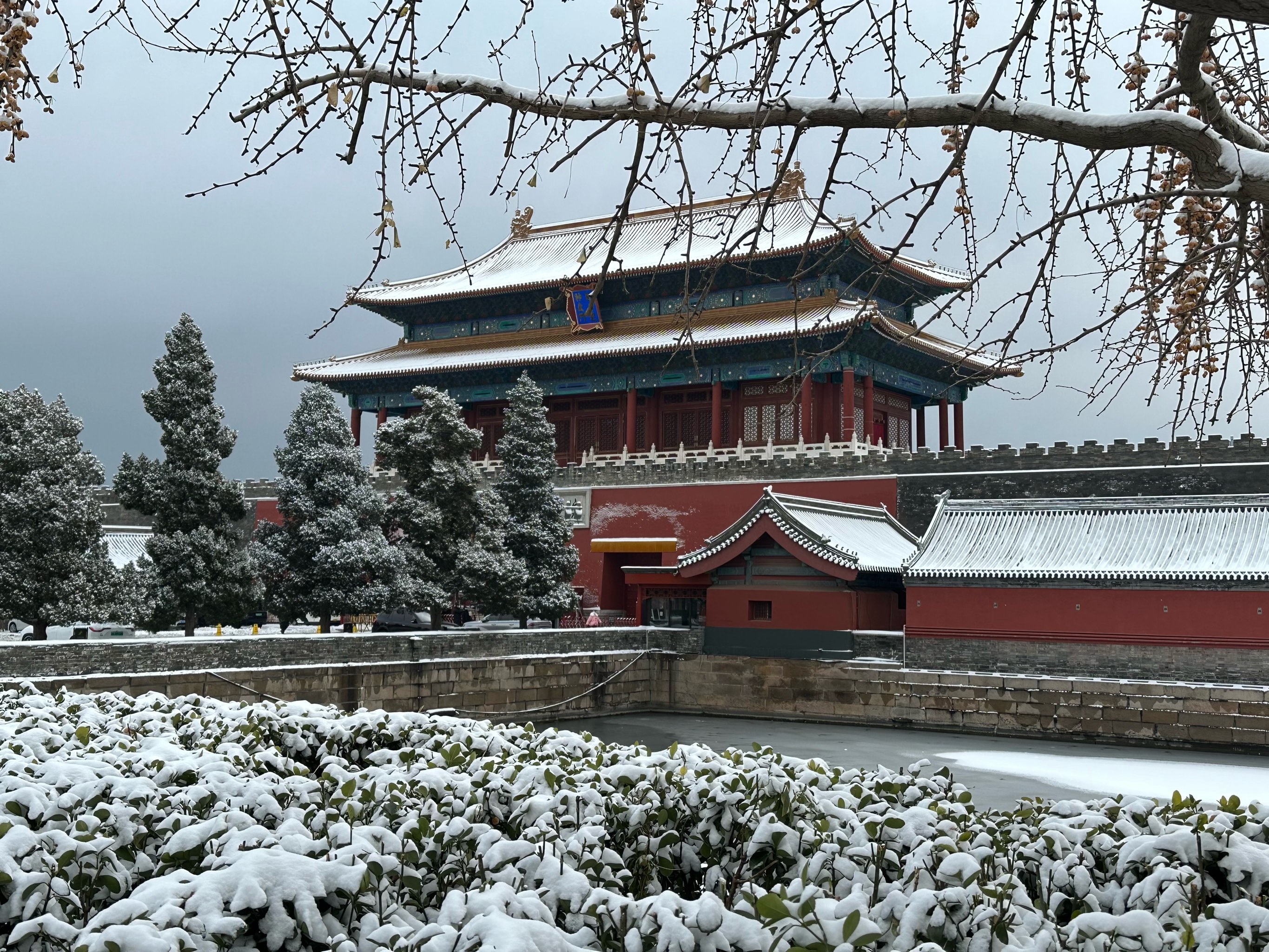 红墙黄瓦映日辉，紫禁城中寻古韵