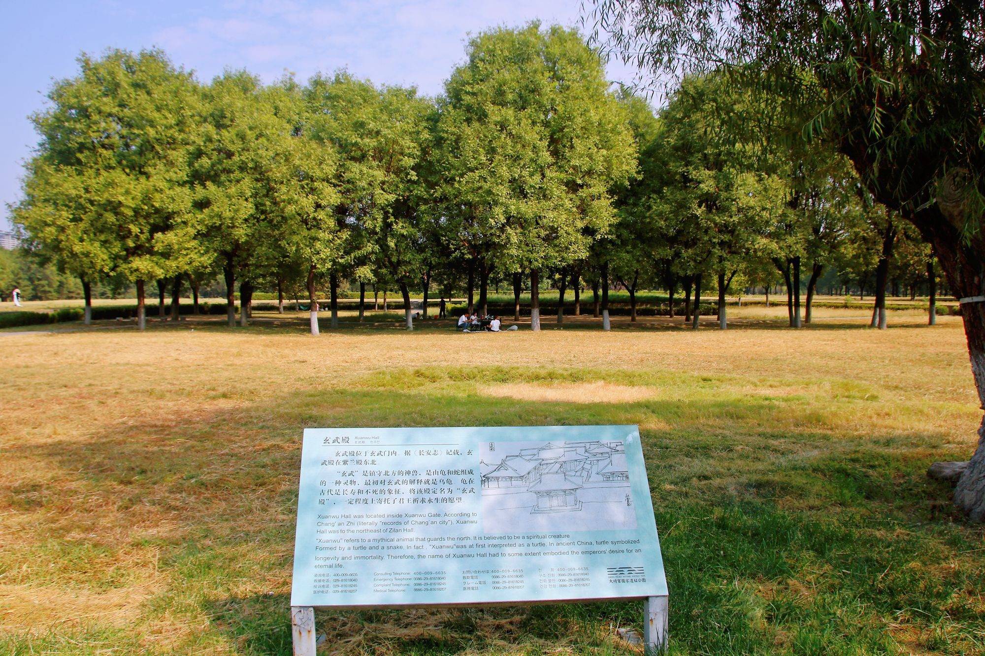 西安大明宫国家遗址公园,穿越千年古都,探秘丝绸之路的东方圣殿 (图3) 西安大明宫国家遗址公园,穿越千年古都,探秘丝绸之路的东方圣殿 (图3)