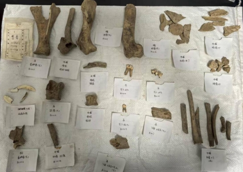 四项“考古北京”（2025）最新考古成果发布(图2)