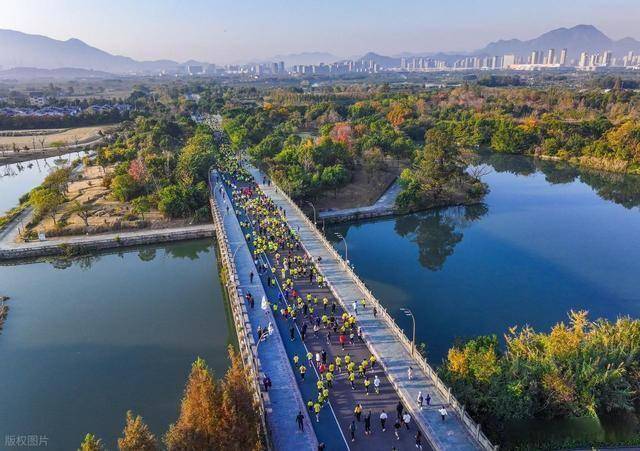 不只是跑步！温州三垟湿地这场活动，让体育流量变文旅热潮(图2)