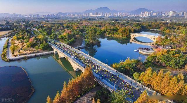 不只是跑步！温州三垟湿地这场活动，让体育流量变文旅热潮(图4)