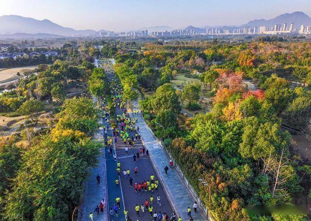 不只是跑步！温州三垟湿地这场活动，让体育流量变文旅热潮(图5)