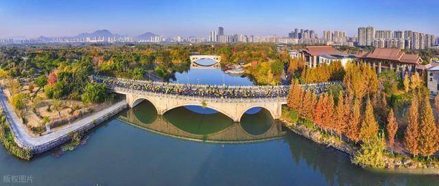 不只是跑步！温州三垟湿地这场活动，让体育流量变文旅热潮(图6)