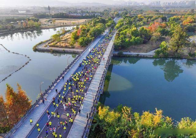 不只是跑步！温州三垟湿地这场活动，让体育流量变文旅热潮(图11)
