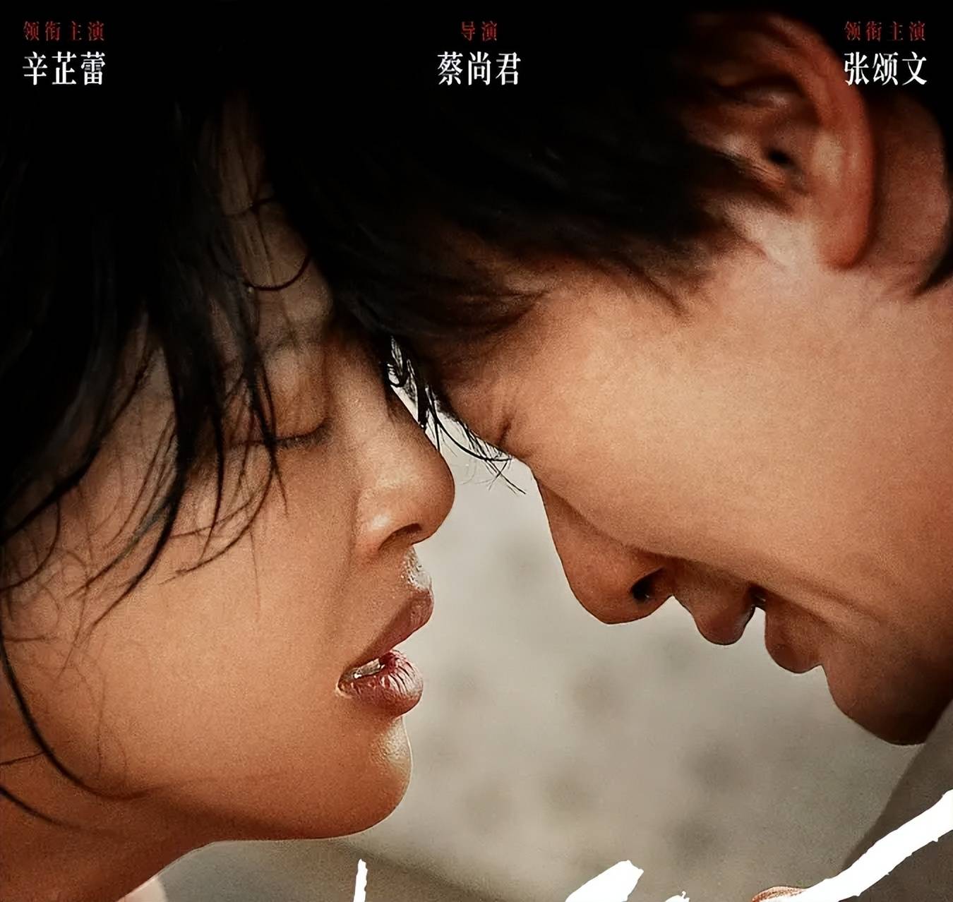 张颂文新片预测票房仅250万，家暴风波后一蹶不振，演技滤镜都碎了 (图17)