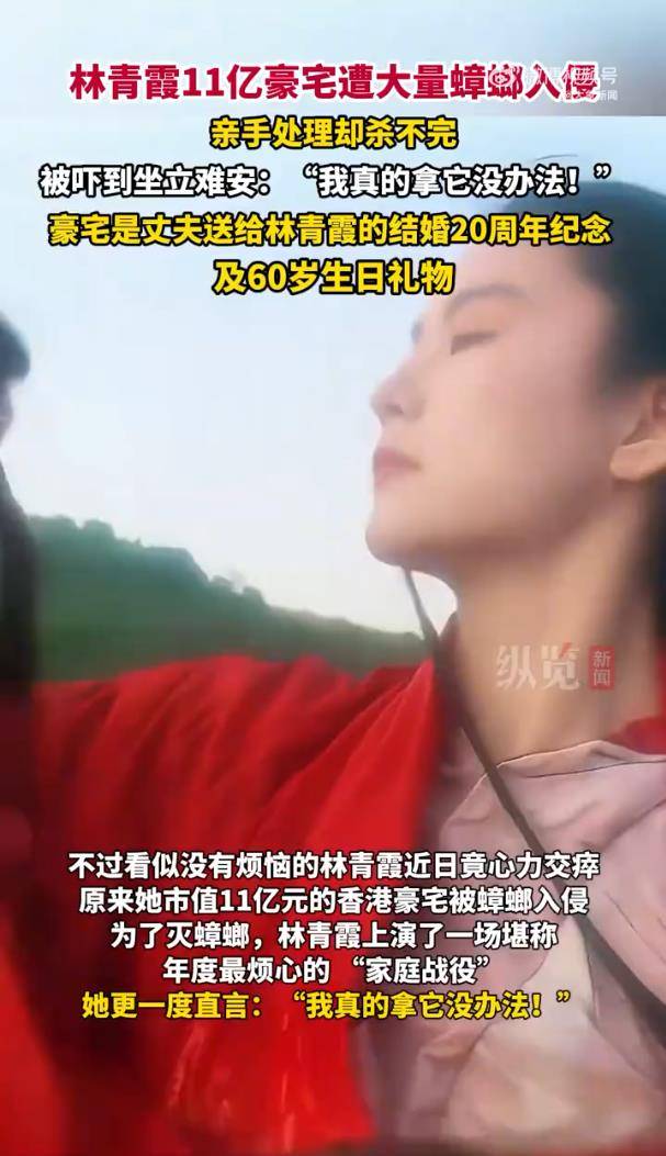 林青霞自曝豪宅遭大量蟑螂入侵，戴上手套空手抓蟑螂 (图3)