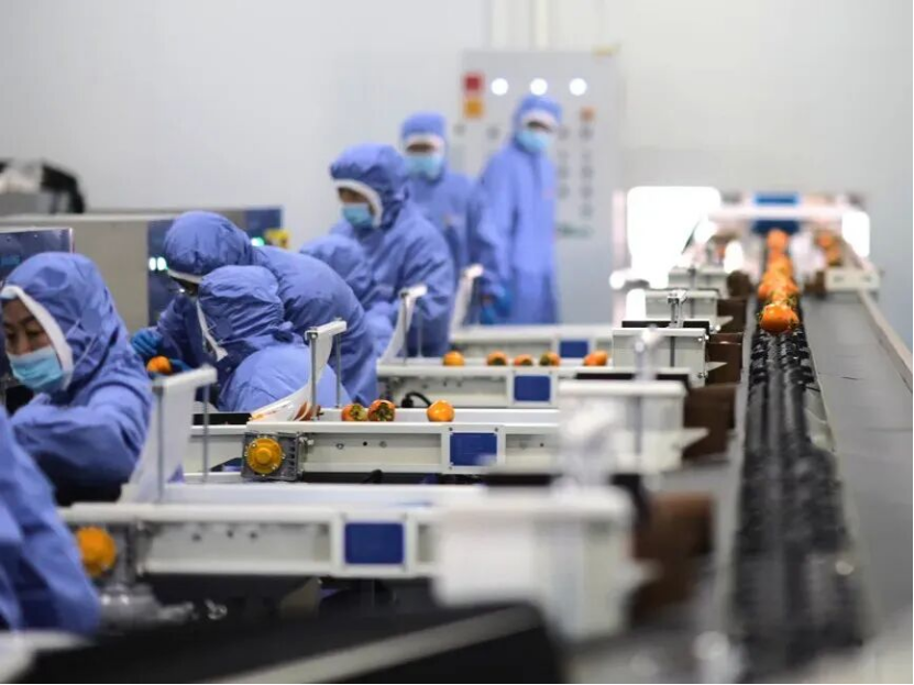 jVIQNQGCfLJq8DeR.png image.png