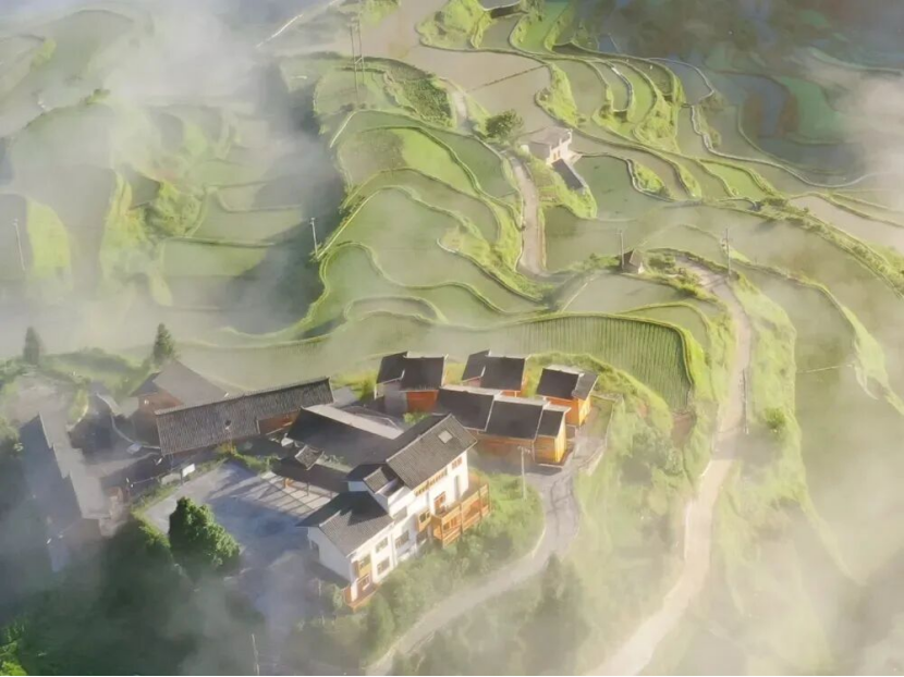 p1P3G4HIVFDV10NE.png image.png