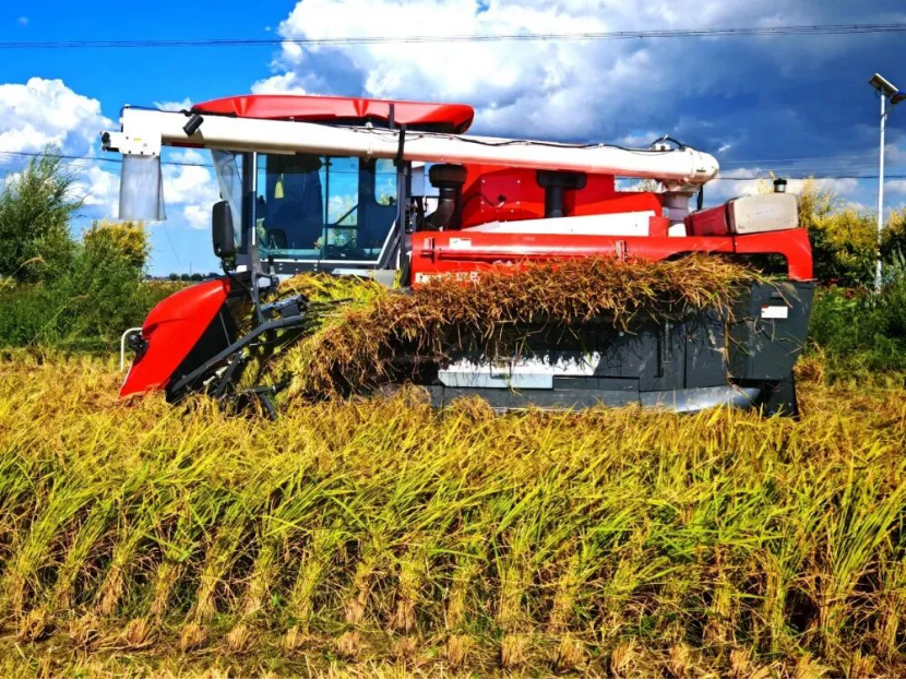 g1p3tyVWtZToX4yv.png image.png