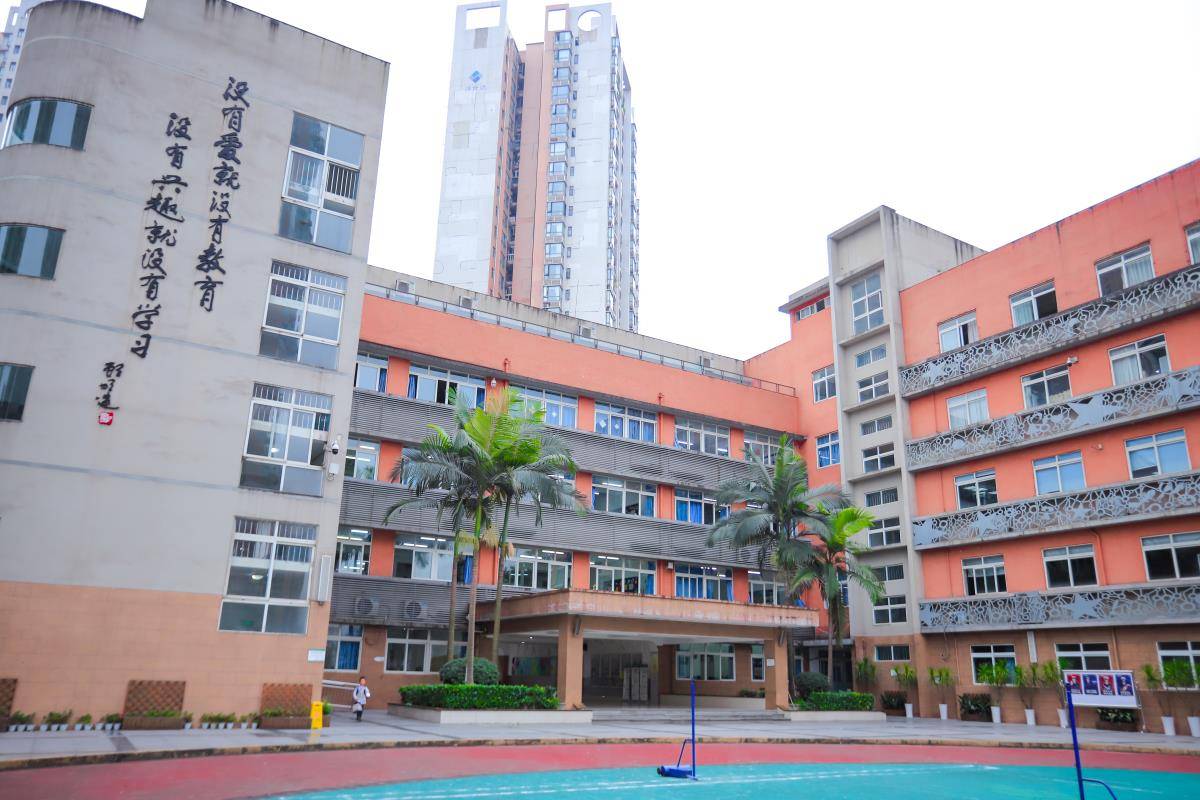 重庆一小学禁止“二手房”业主孩子入读，当地：孩子多学校容量小，已调研后期可能调整 (图2)
