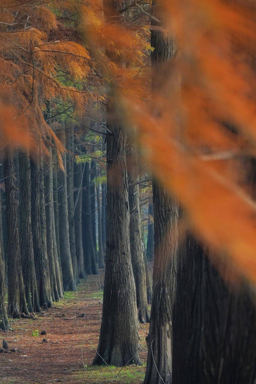  一定要大量读书：经常读书的人，赚钱只在早晚(图14)