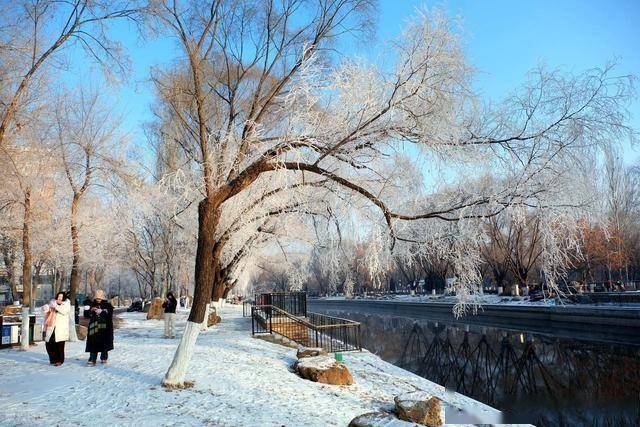 南方人羡慕哭！沈阳北运河雾凇，把冬天美成童话世界 (图3)
