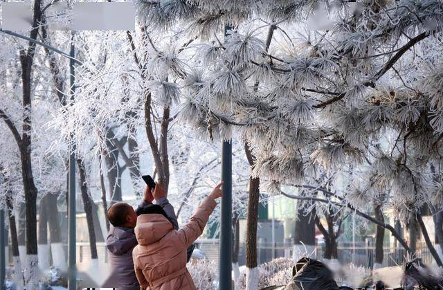 南方人羡慕哭！沈阳北运河雾凇，把冬天美成童话世界 (图2)