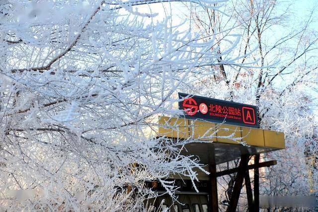 南方人羡慕哭！沈阳北运河雾凇，把冬天美成童话世界 (图13)