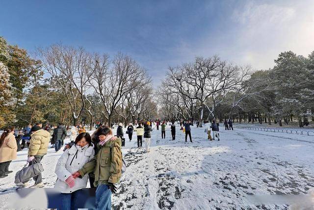 一场初雪,让天坛美成北平旧梦!红墙白雪藏着北京双重浪漫 (图2) 一场初雪,让天坛美成北平旧梦!红墙白雪藏着北京双重浪漫 (图2)
