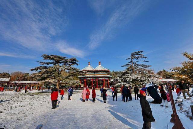 一场初雪,让天坛美成北平旧梦!红墙白雪藏着北京双重浪漫 (图3) 一场初雪,让天坛美成北平旧梦!红墙白雪藏着北京双重浪漫 (图3)