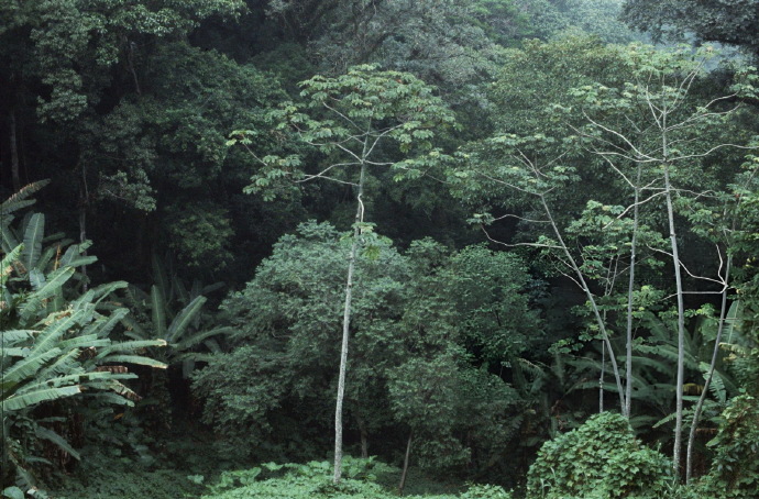 里约热内卢 巴西，1989年