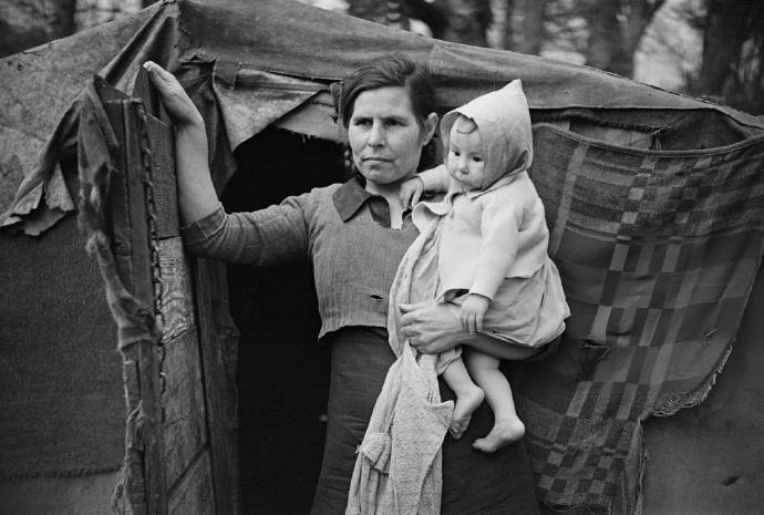 树下的贫民窟 英格兰汉普郡新森林，1949年