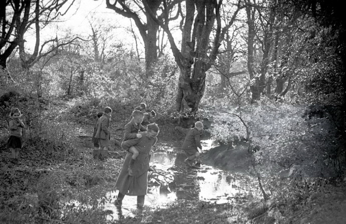 树下的贫民窟 英格兰汉普郡新森林，1949年