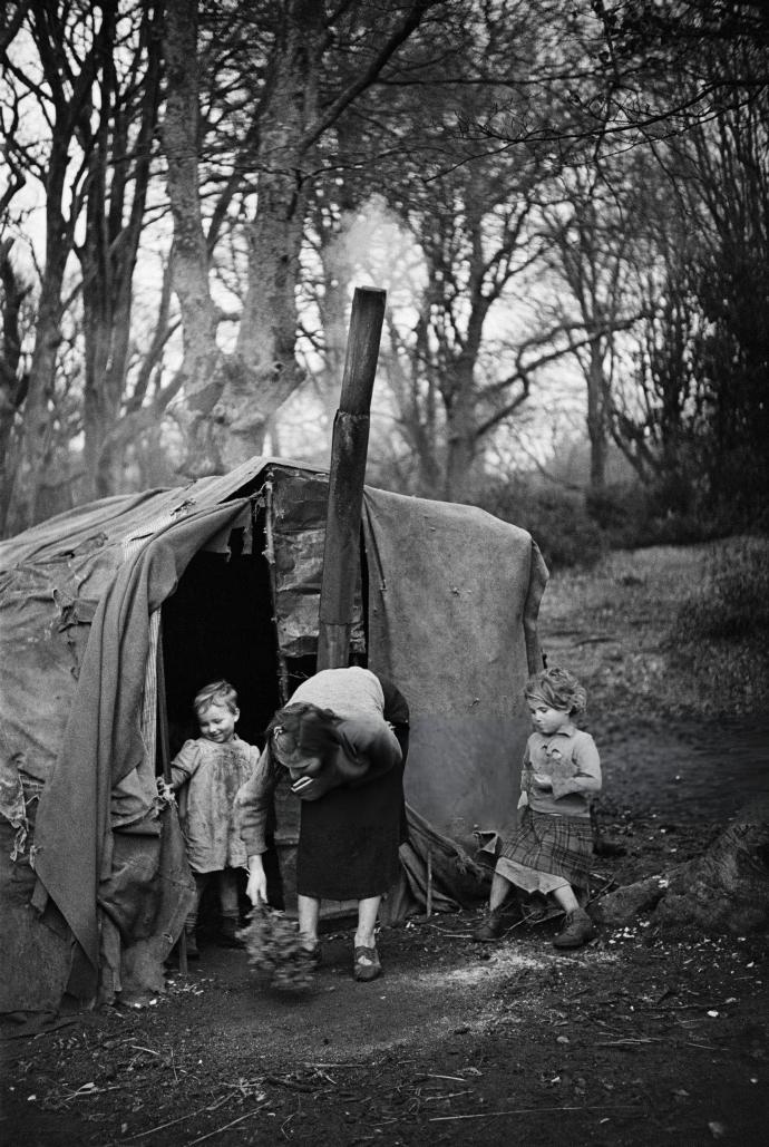 树下的贫民窟 英格兰汉普郡新森林，1949年