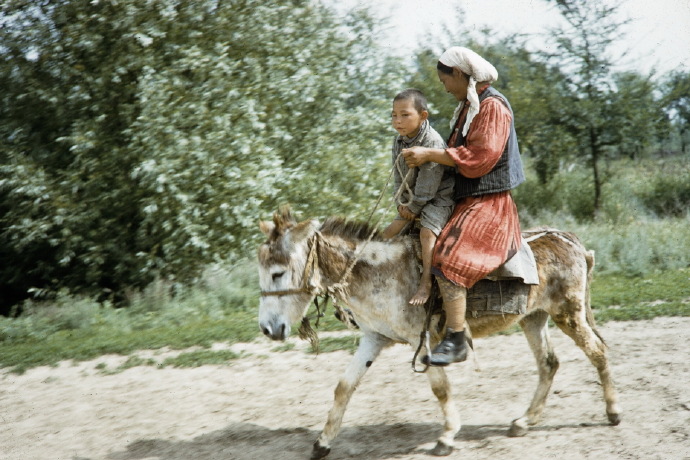 哈萨克斯坦 1962年