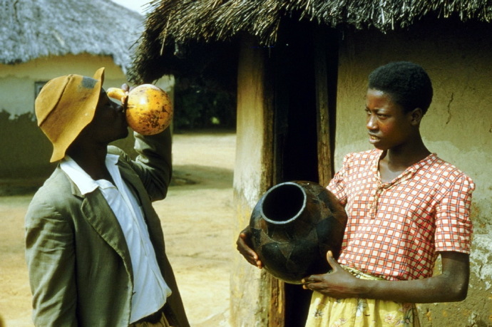 罗德西亚（津巴布韦）1950年代