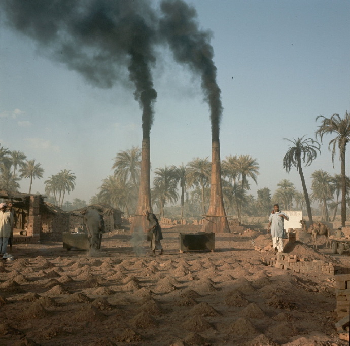 巴基斯坦 1964年