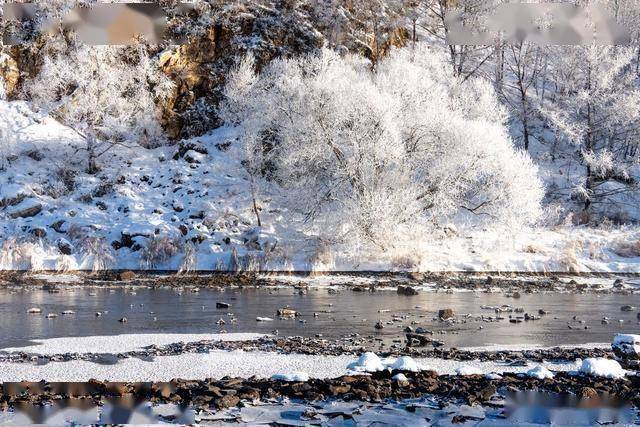 12 个字解锁雾凇之美！黑龙江库尔滨，藏着北国最治愈的冬日秘境 (图19)