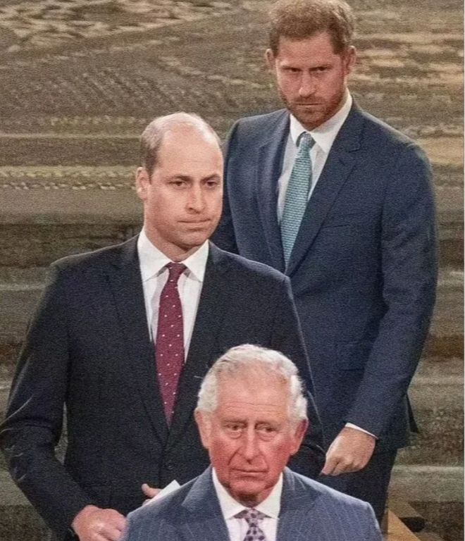 凯特王妃主动伸出橄榄枝：力促威廉和哈里和解(图5)