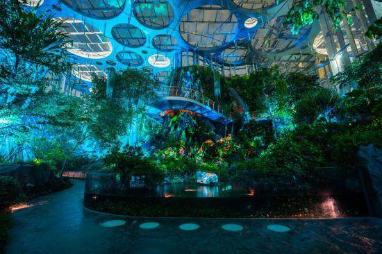 从千年古镇到摩天楼群,这条路线带你漫游浦东(图16) 从千年古镇到摩天楼群,这条路线带你漫游浦东(图16)