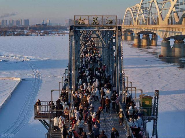 哈尔滨雪后刷屏：松花江覆雪如绸缎，百年铁桥藏着冰雪经济密码！ (图1)