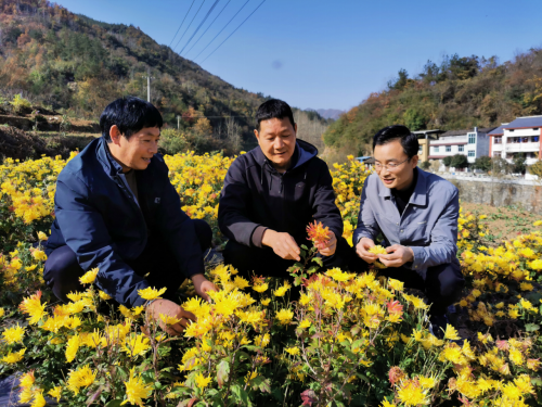 geThwKqVHM5pUS6I.png image.png