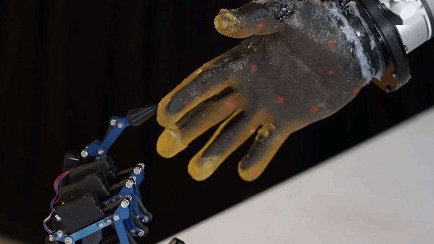 中国科研人员研发神经形态电子皮肤，赋予机器人类人危险反射能力 (图1)