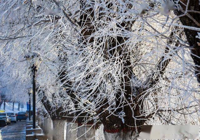 想看雾凇别瞎跑！吉林阿什哈达这 5 个观赏秘诀，帮你避开空跑遗憾 (图14)