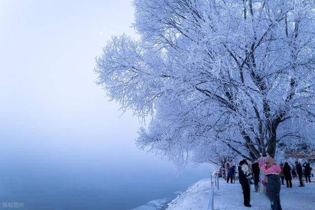 想看雾凇别瞎跑！吉林阿什哈达这 5 个观赏秘诀，帮你避开空跑遗憾 (图12)
