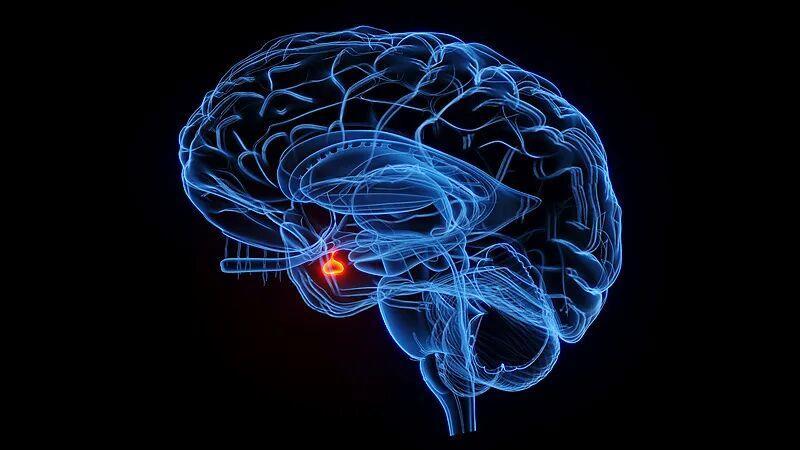 这种面相可能是肿瘤前兆!别以为只是“发福”了(图1)