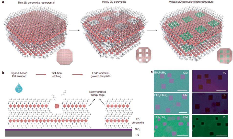 国科大“自刻蚀”技术攻克材料难题(图2)