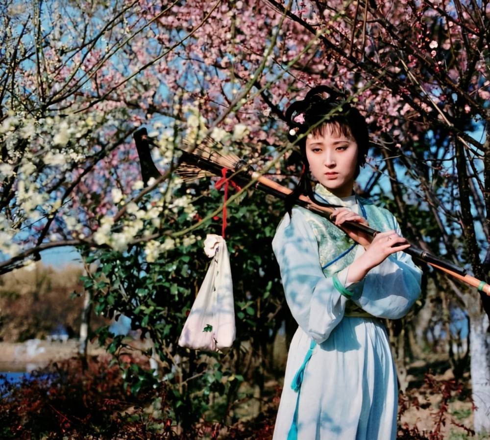 读《红楼梦》：黛玉，那个让现代人又爱又怜的“作精”女孩 (图5)