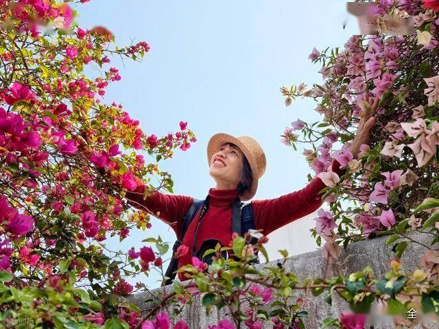 北境飘雪南园绽，青秀山用一场菊花展，藏住南宁冬日顶流密码！(图9)