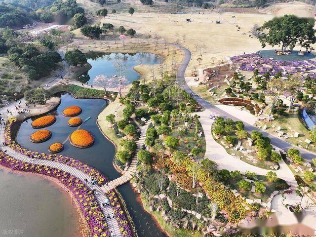 北境飘雪南园绽，青秀山用一场菊花展，藏住南宁冬日顶流密码！(图7)