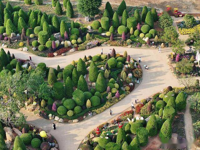 北境飘雪南园绽，青秀山用一场菊花展，藏住南宁冬日顶流密码！(图10)