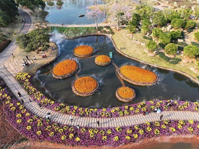 北境飘雪南园绽，青秀山用一场菊花展，藏住南宁冬日顶流密码！(图12)