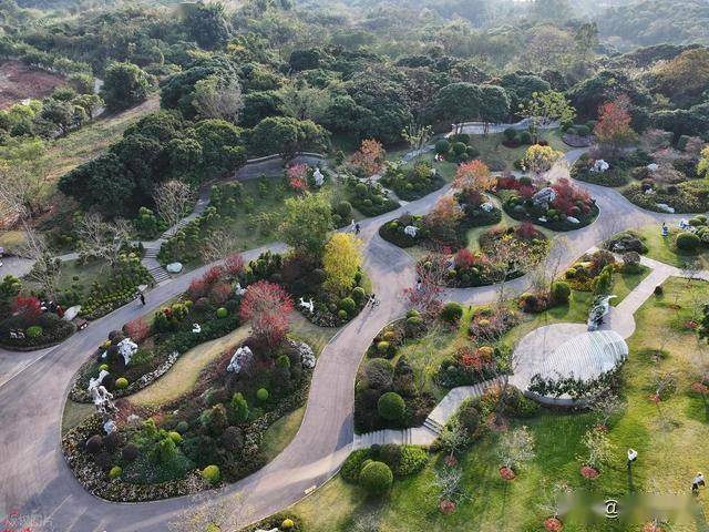 北境飘雪南园绽，青秀山用一场菊花展，藏住南宁冬日顶流密码！(图19)