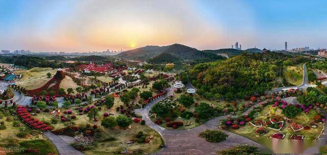 北境飘雪南园绽，青秀山用一场菊花展，藏住南宁冬日顶流密码！(图17)