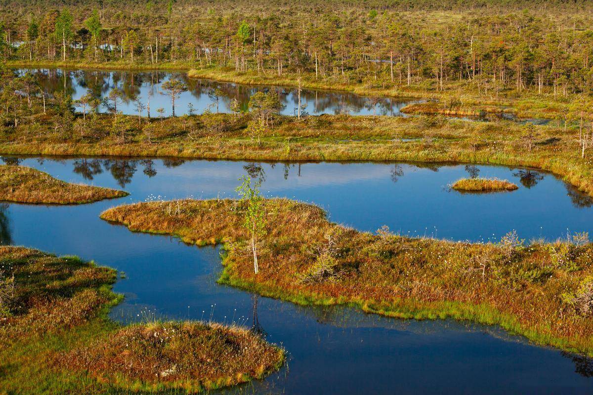湿地为证，山河作答，回顾总书记关于湿地保护的殷殷叮嘱！ (图3)
