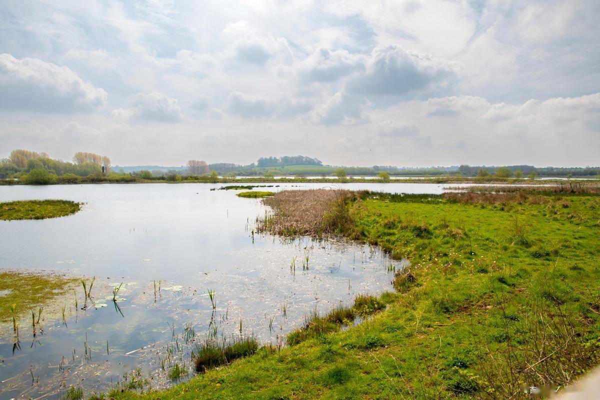 湿地为证，山河作答，回顾总书记关于湿地保护的殷殷叮嘱！ (图2)